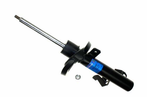 N  AMORTSR SR SR SOL S40 2004- 313 667 SACHS 313667